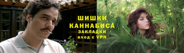 spice Осинники