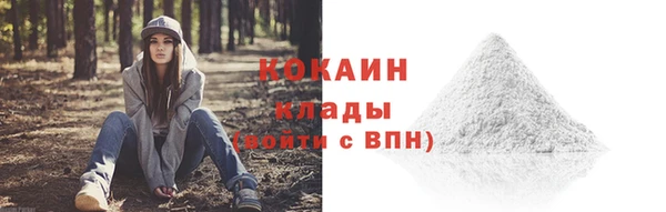 прущие грибы Инта