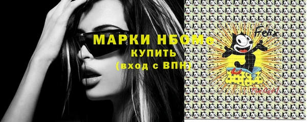 прущие грибы Инта