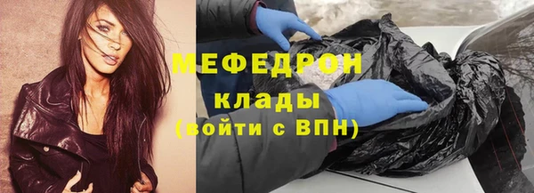 прущие грибы Инта