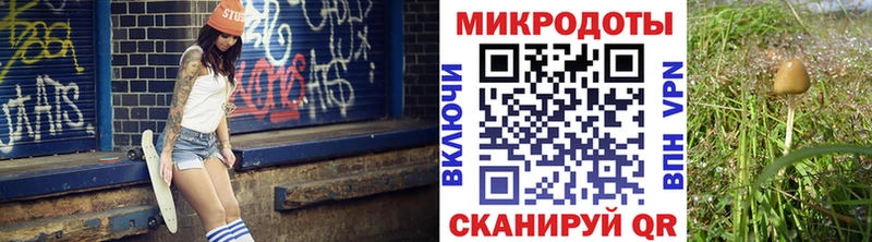 Галлюциногенные грибы Psilocybe  закладки  Юрюзань 