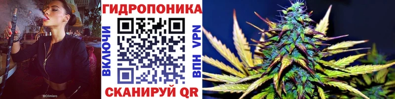 Каннабис сатива  Юрюзань 